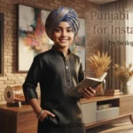 Punjabi Boy Bio for Instagram